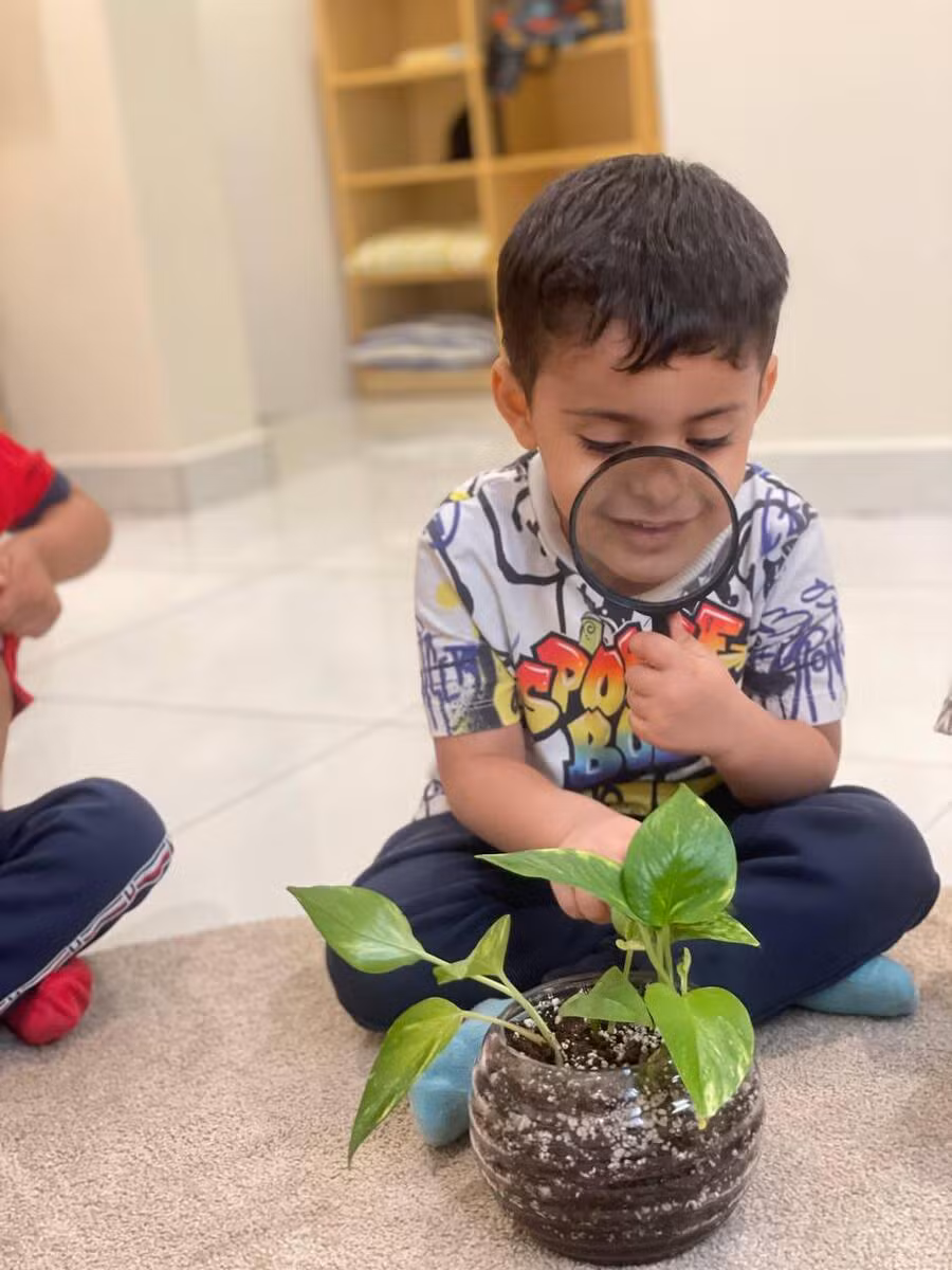 صور متنوعة من الحضانة